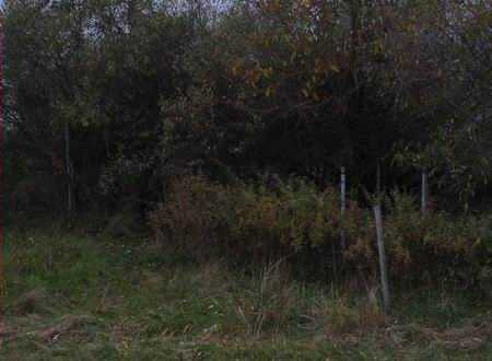 Tri-City Dragway - Grandstand Now From Fred Militello (newer photo)